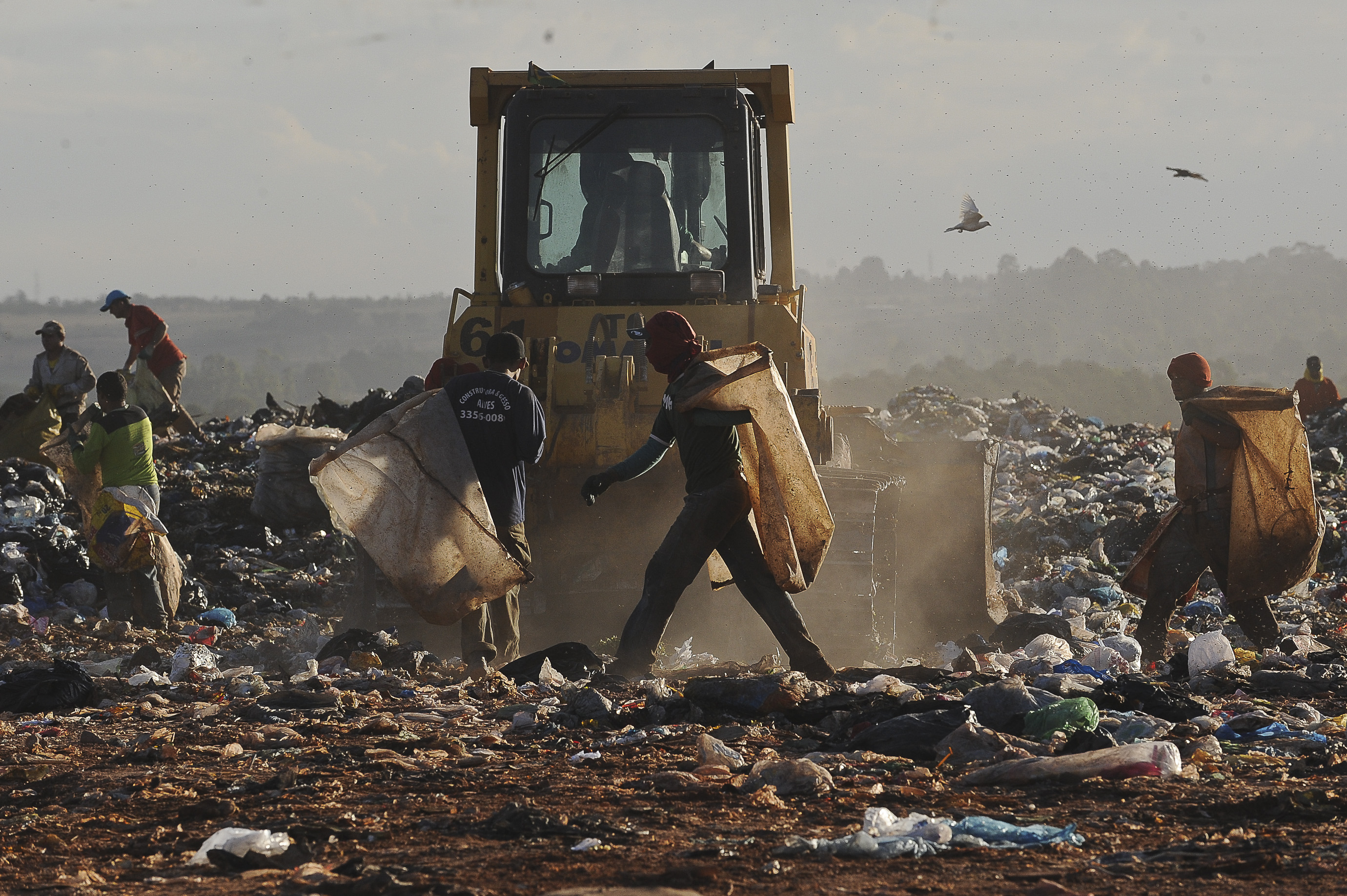 AgenciaBrasil110612WDO_0311