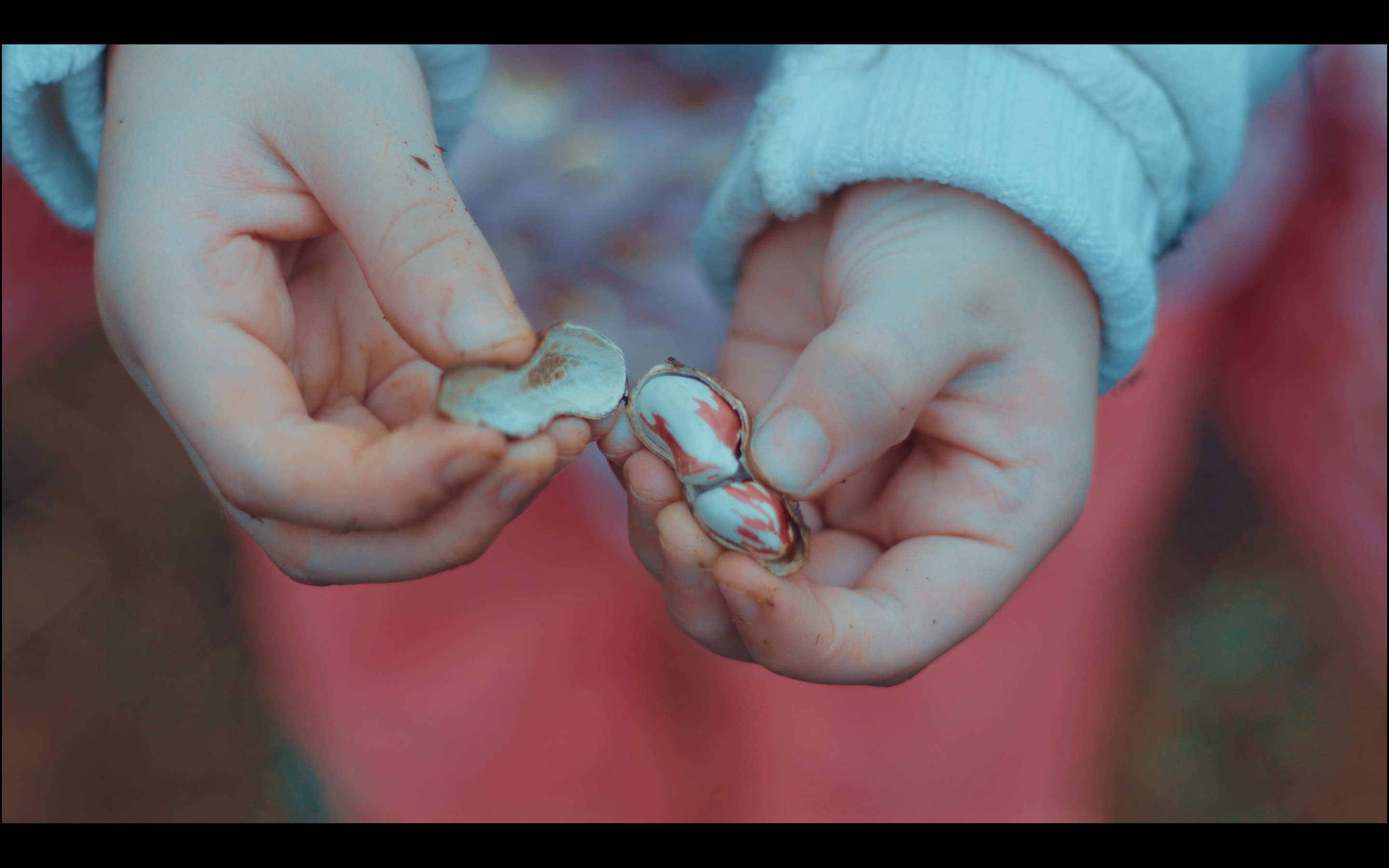 Cópia de Caravana 1 -ZS10 Cópia de Caravana 1 -ZS10