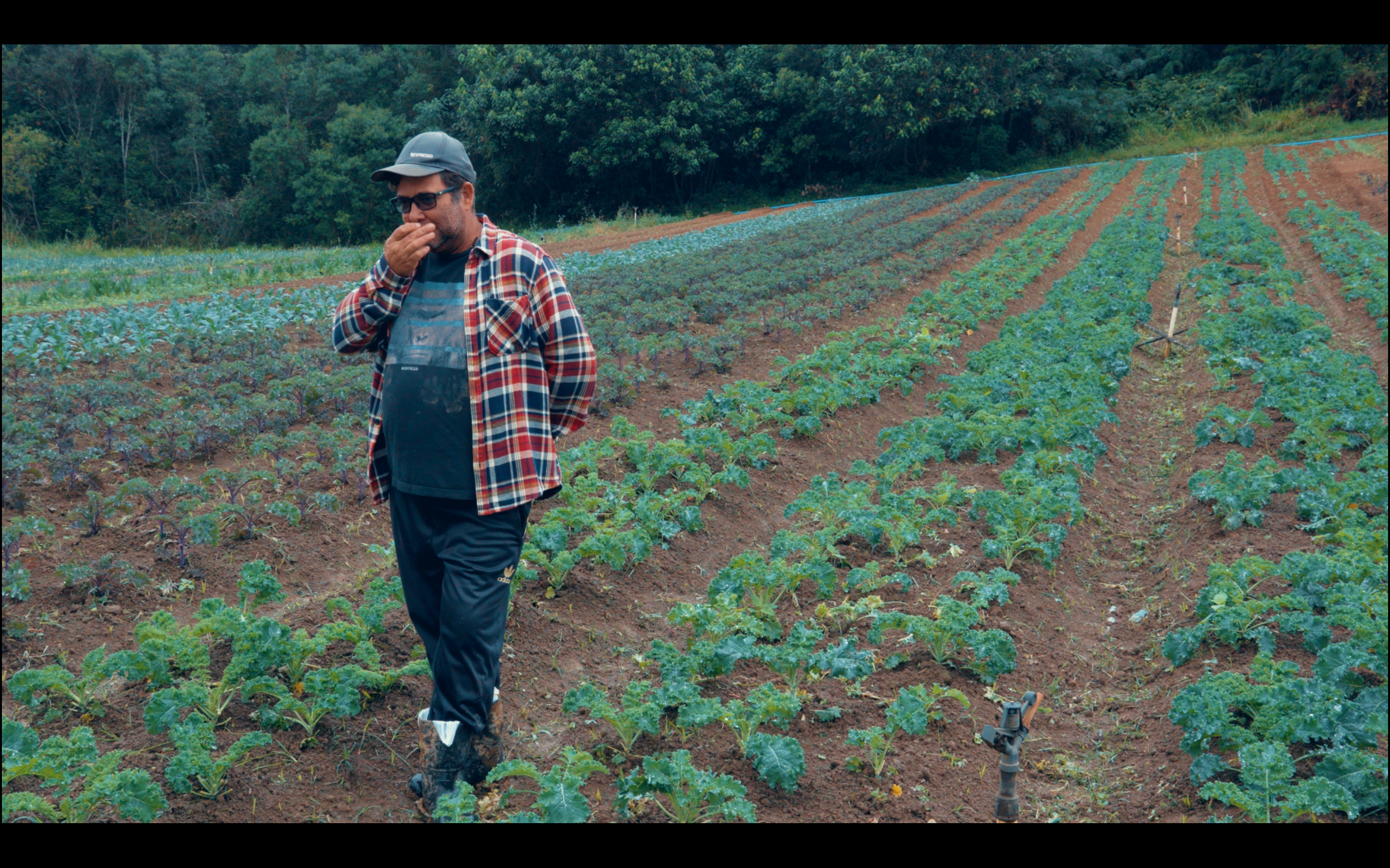 Cópia de Caravana 1 -ZS2 Cópia de Caravana 1 -ZS2