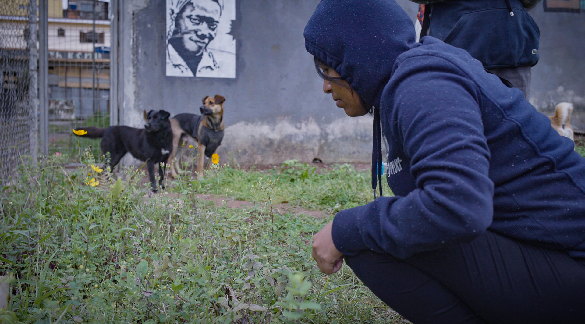 Cópia de Caravana 2 - ZL2 Cópia de Caravana 2 - ZL2