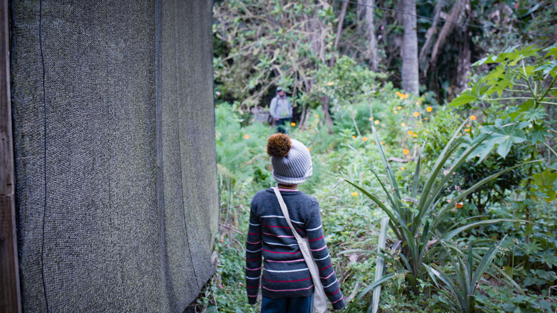 Cópia de Caravana 2 - ZL6 Cópia de Caravana 2 - ZL6