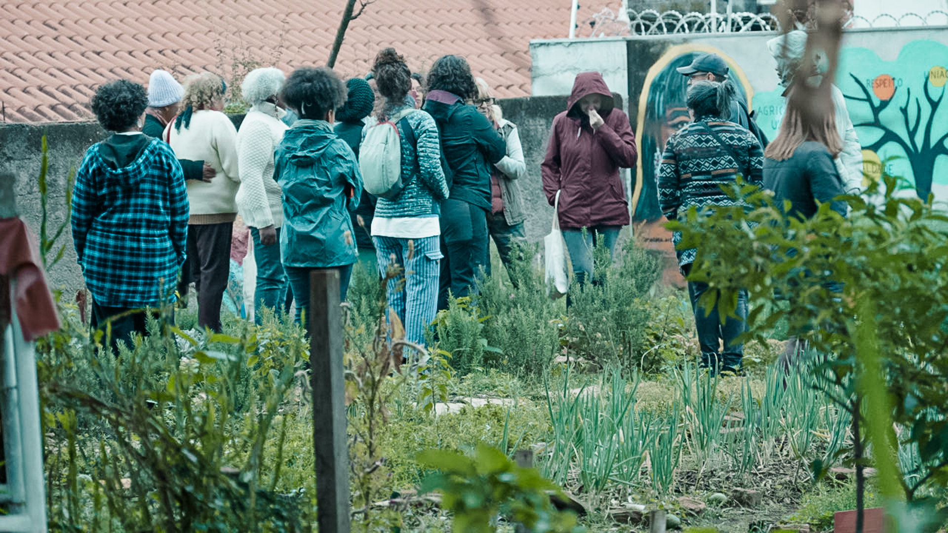 Cópia de Caravana 2 - ZN10 Cópia de Caravana 2 - ZN10