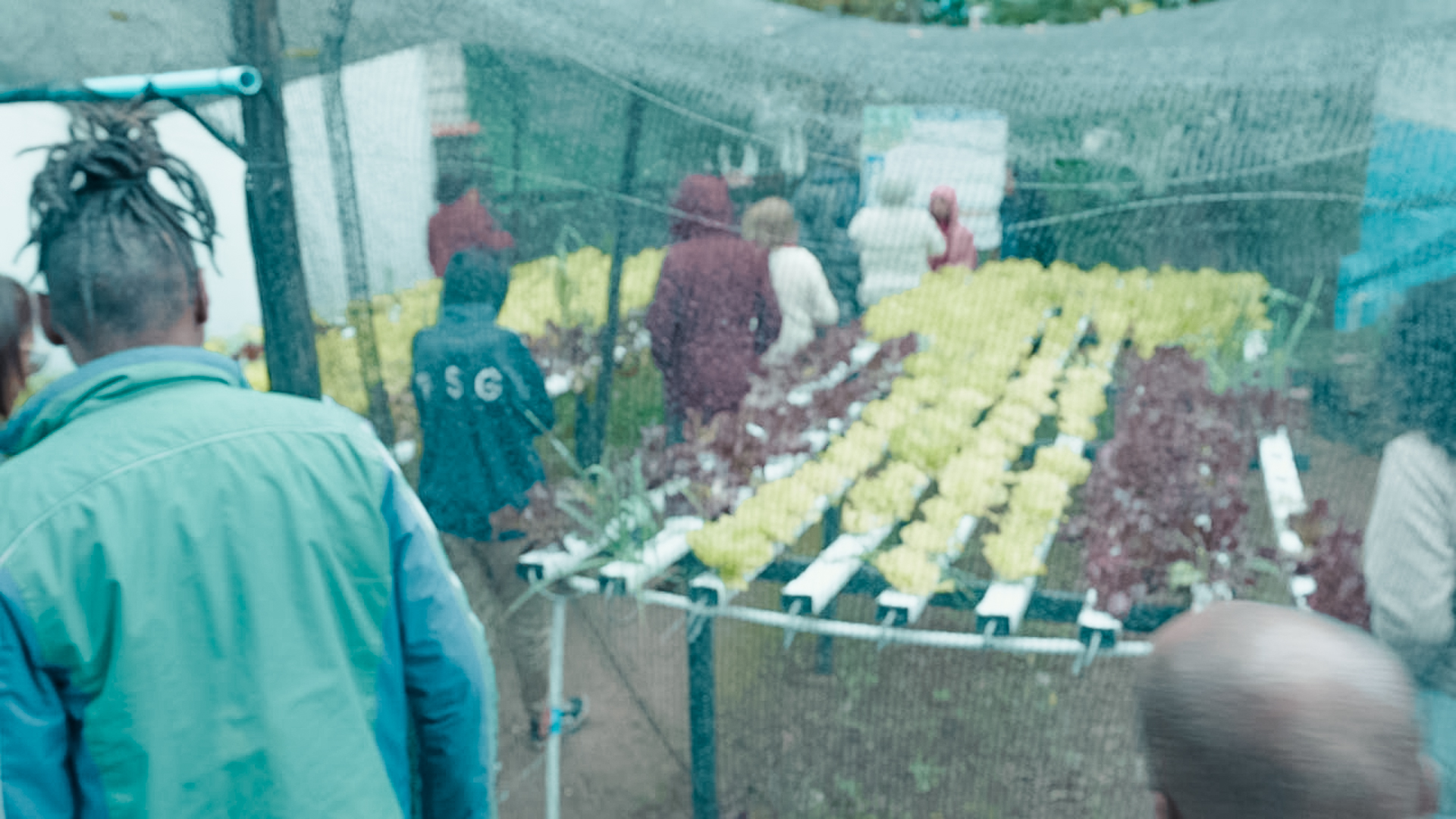 Cópia de Caravana 2 - ZN6 Cópia de Caravana 2 - ZN6