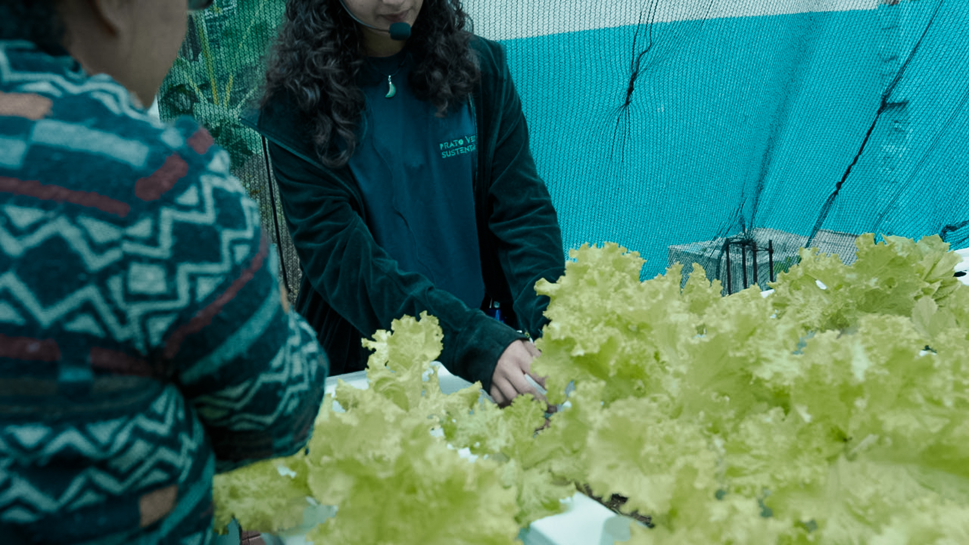 Cópia de Caravana 2 - ZN7 Cópia de Caravana 2 - ZN7