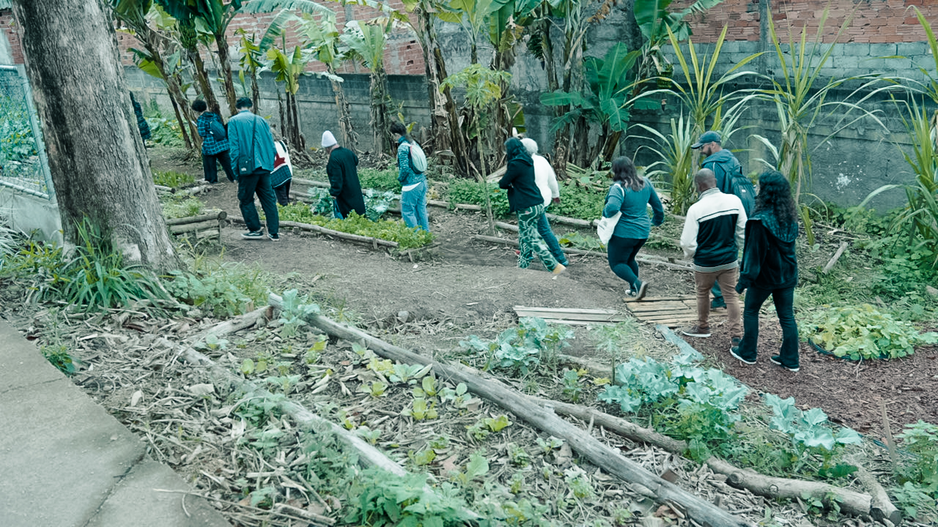 Cópia de Caravana 2 - ZN8 Cópia de Caravana 2 - ZN8