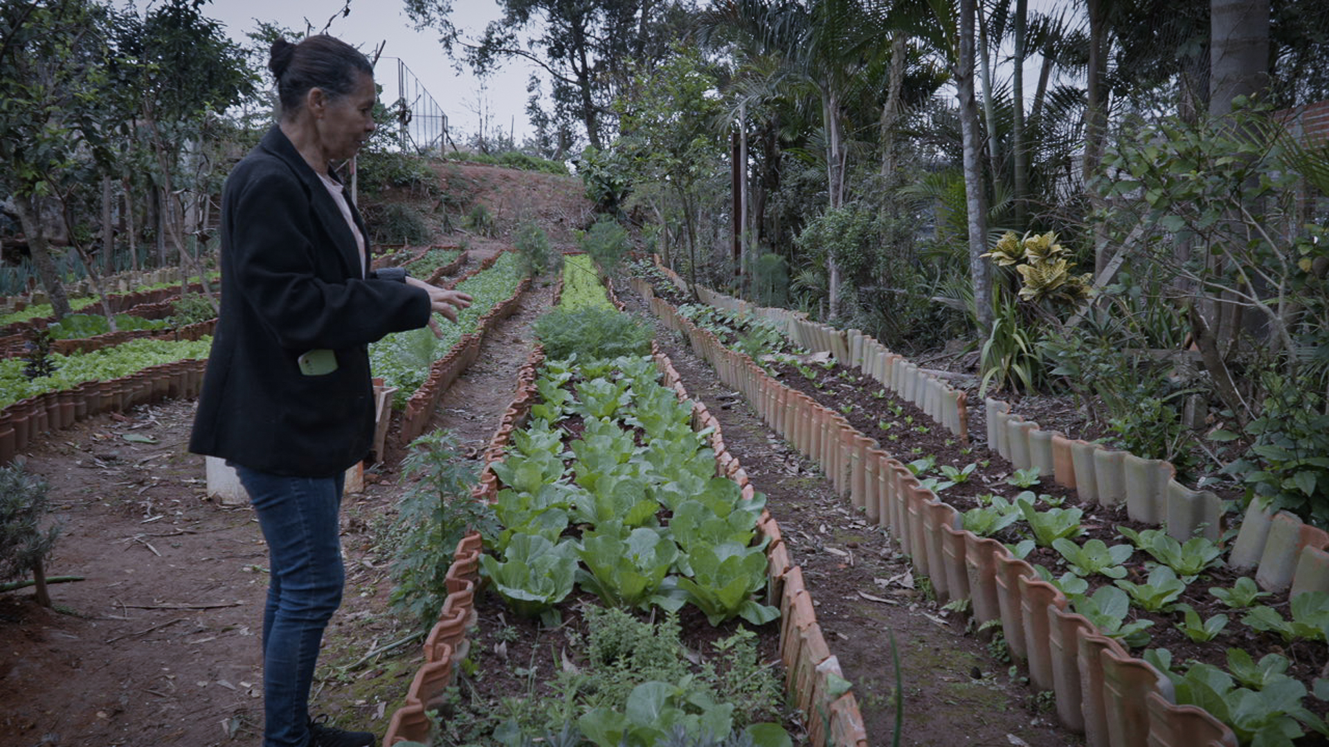 Cópia de Caravana 2 - ZO5 Cópia de Caravana 2 - ZO5