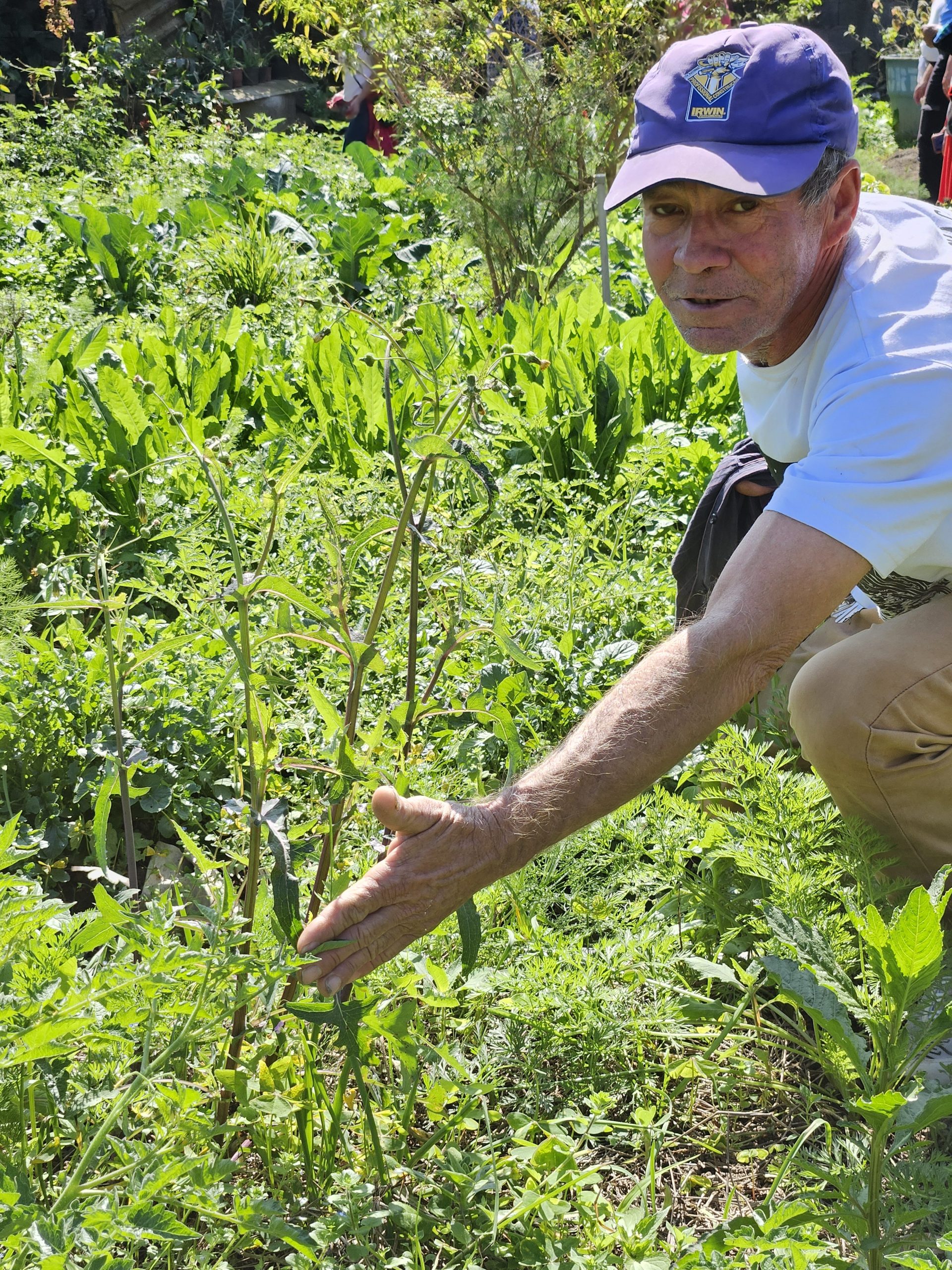 VISITA 1_Foto5 VISITA 1_Foto5