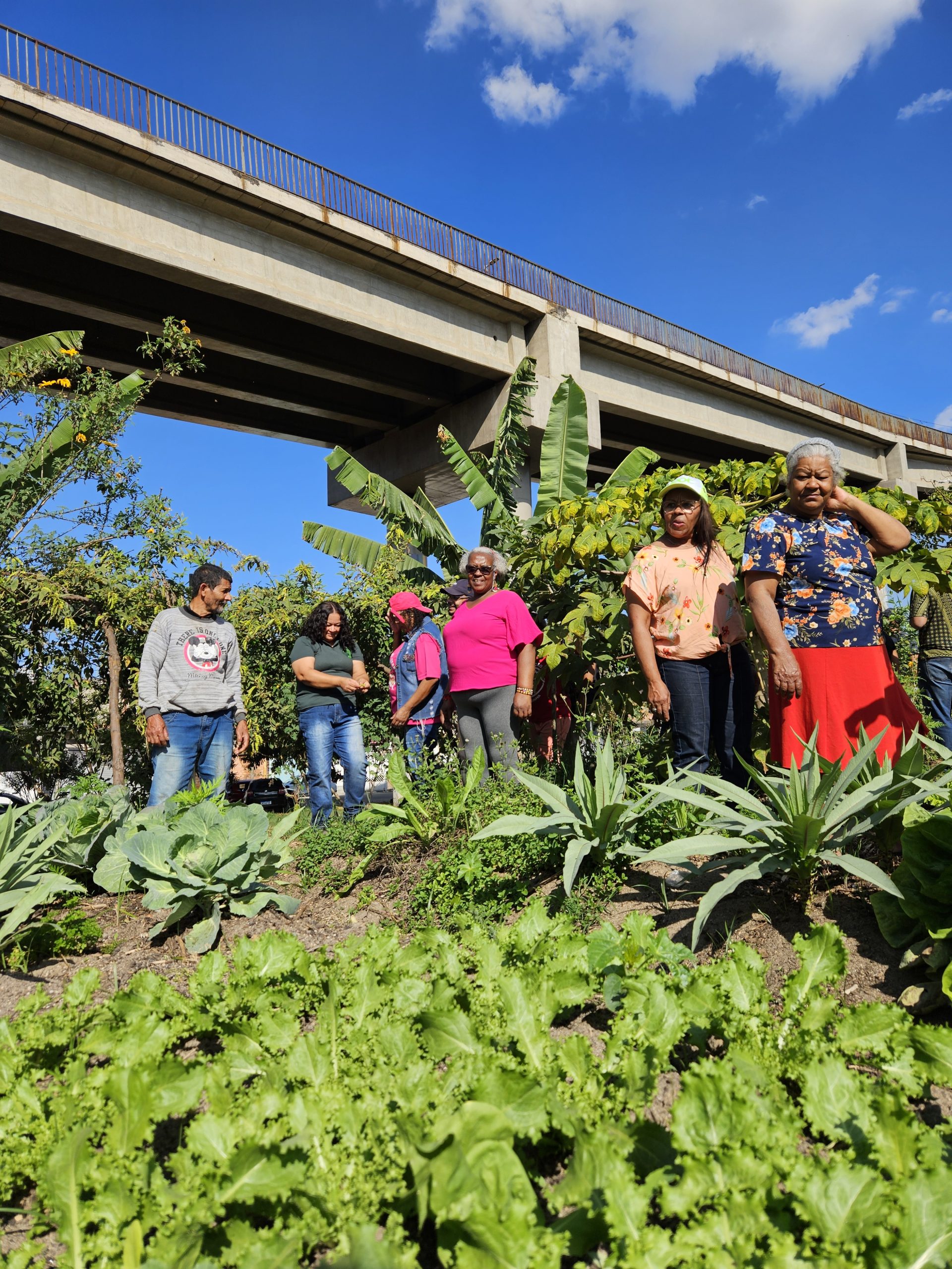 VISITA 2_Foto6 VISITA 2_Foto6